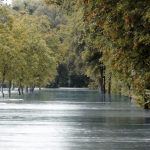 Flooded Street