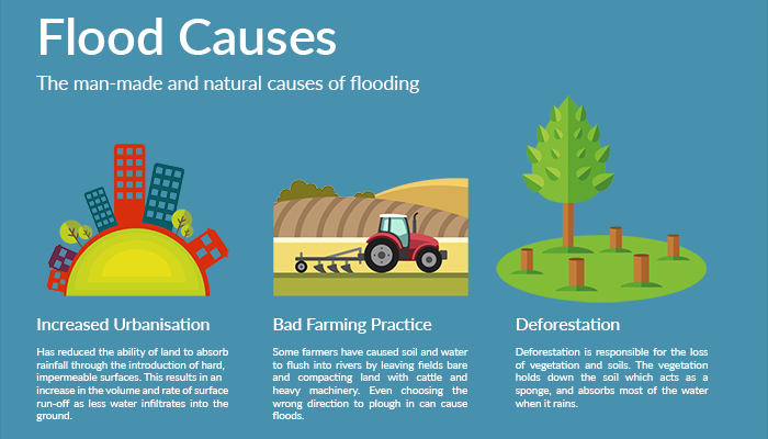 Flood infographic: types, causes and cost of flooding